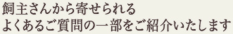 飼主さんから寄せられる よくあるご質問の一部をご紹介いたします