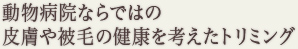 動物病院ならではの 皮膚や被毛の健康を考えたトリミング