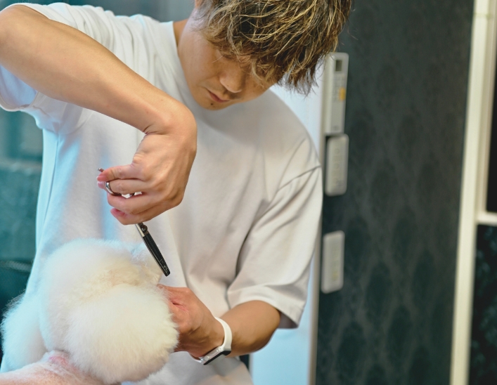 千葉県市川市の動物病院 Mama PetClinic（真間ペットクリニック）トリミング